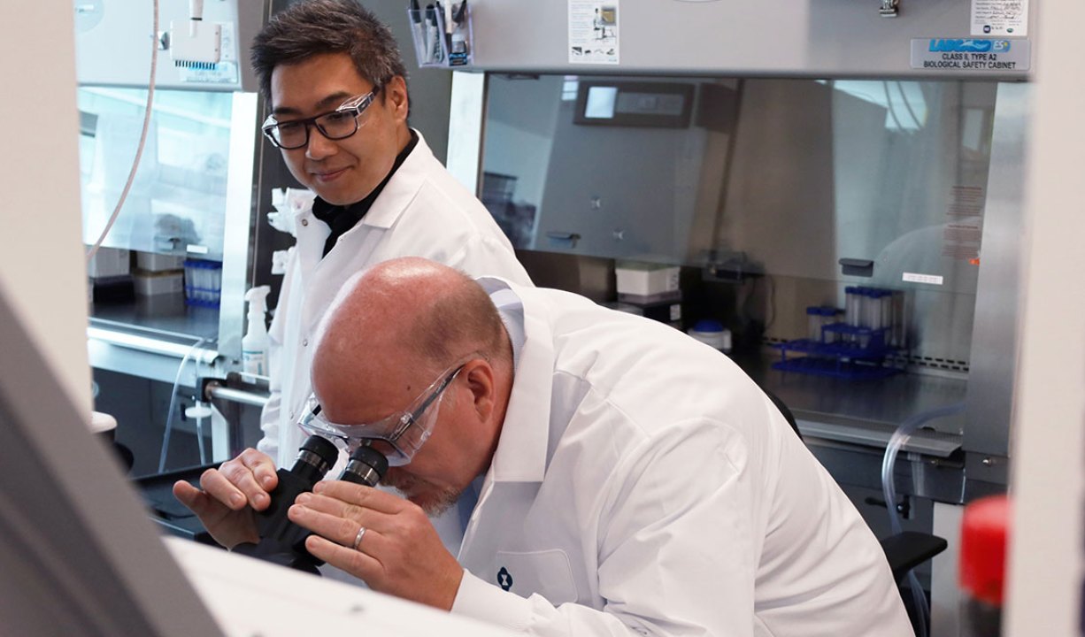 two scientists working in the lab