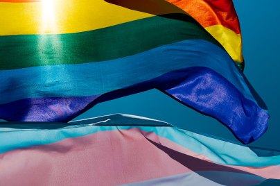pride and transgender flags